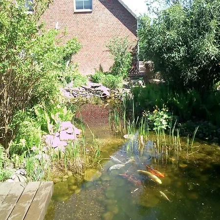 Fiedler-leskien *